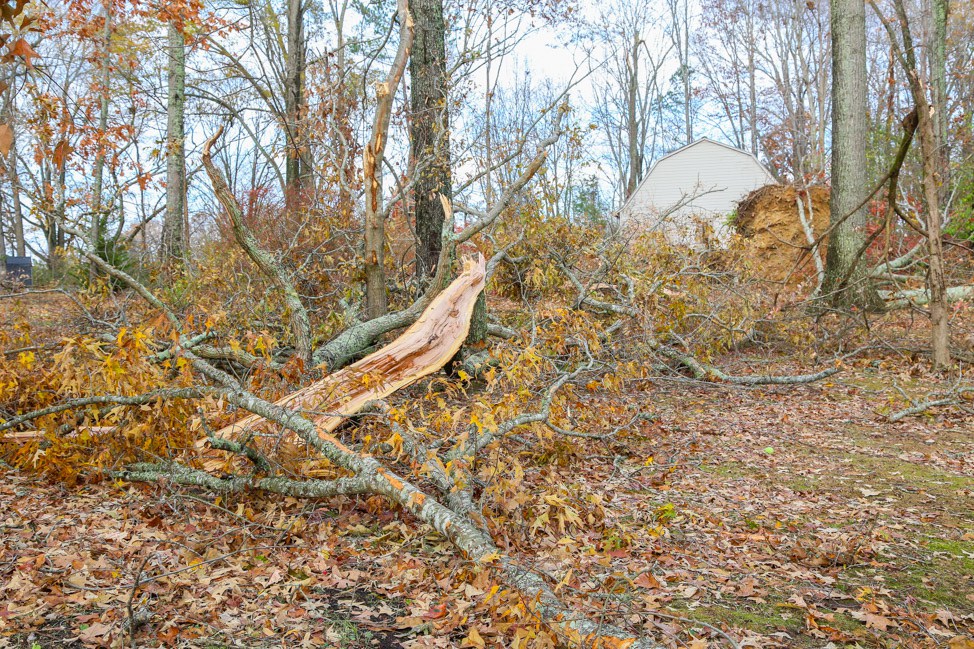 The Tullahoma Tornado