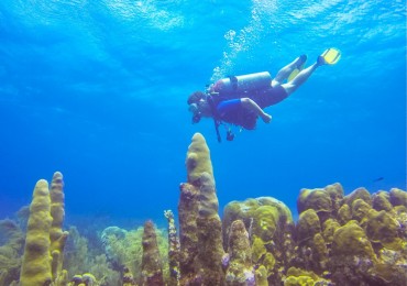 underwater-curacao-1.jpg