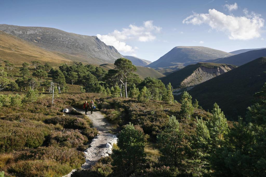 Cairngorm National Park Highlands Picture Credit : P.Tomkins / VisitScotland / Scottish Viewpoint 