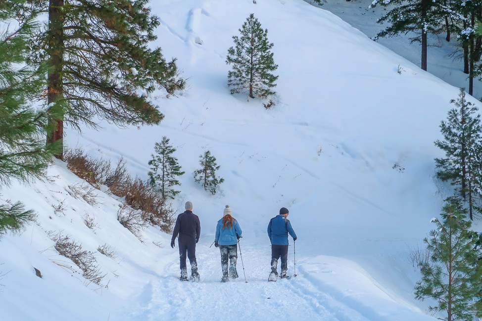 A Winter Retreat to Washington's Cascade Mountains