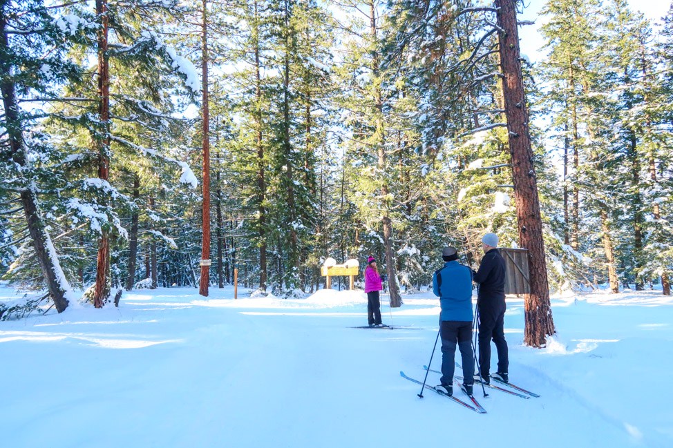 Nordic Skiing in Washington's Mazama Valley