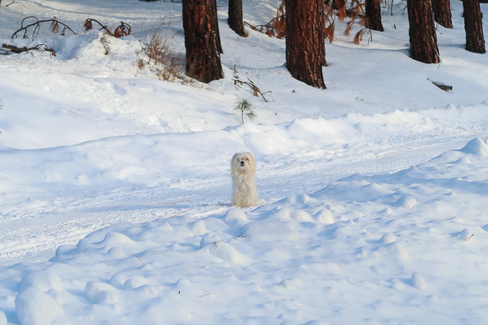 A Winter Retreat to Washington's Cascade Mountains