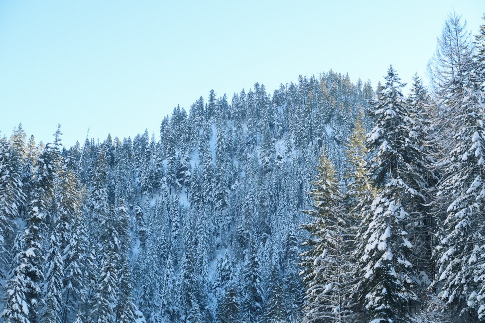 Nordic Skiing in Washington's Mazama Valley