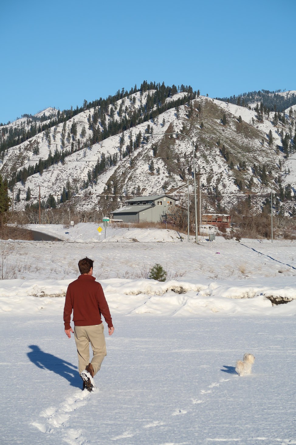 Mazama Moment: Pet-Friendly Travel in the Washington Mountains