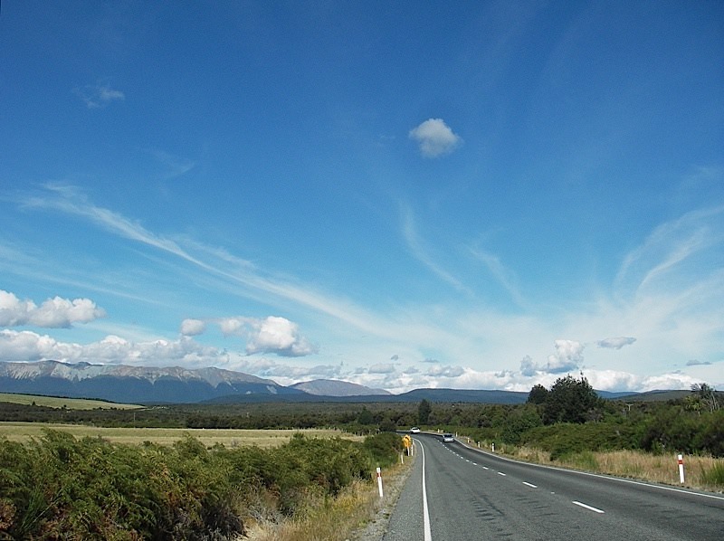 We think the best way to get around New Zealand is by car