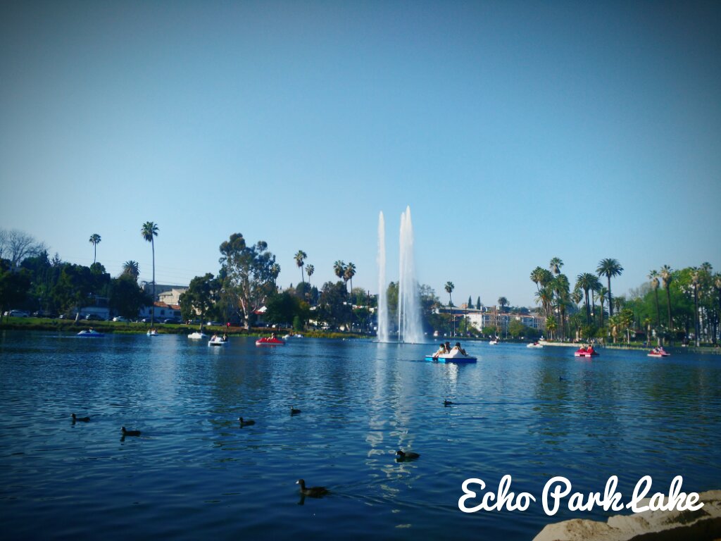 -Postcard_of_Echo_Park_Lak-20000000009391554-original