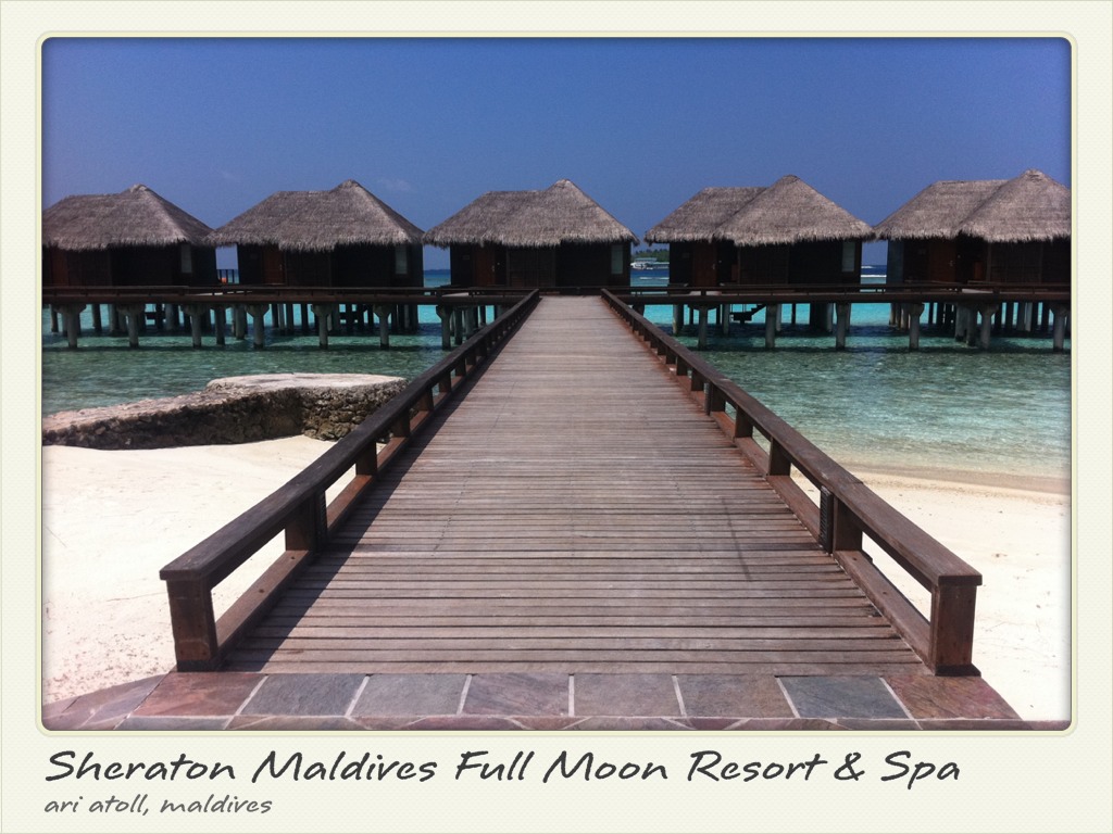 -Postcard_of_Sheraton_Mald-20000000002539771-original