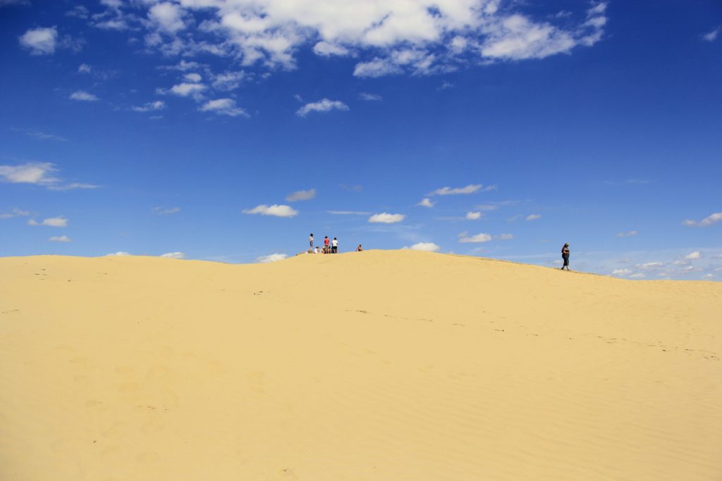 great-sandhills-saskatchewan-dunes