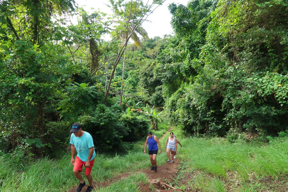 Adventure in the Caribbean: What to Do on Grenada