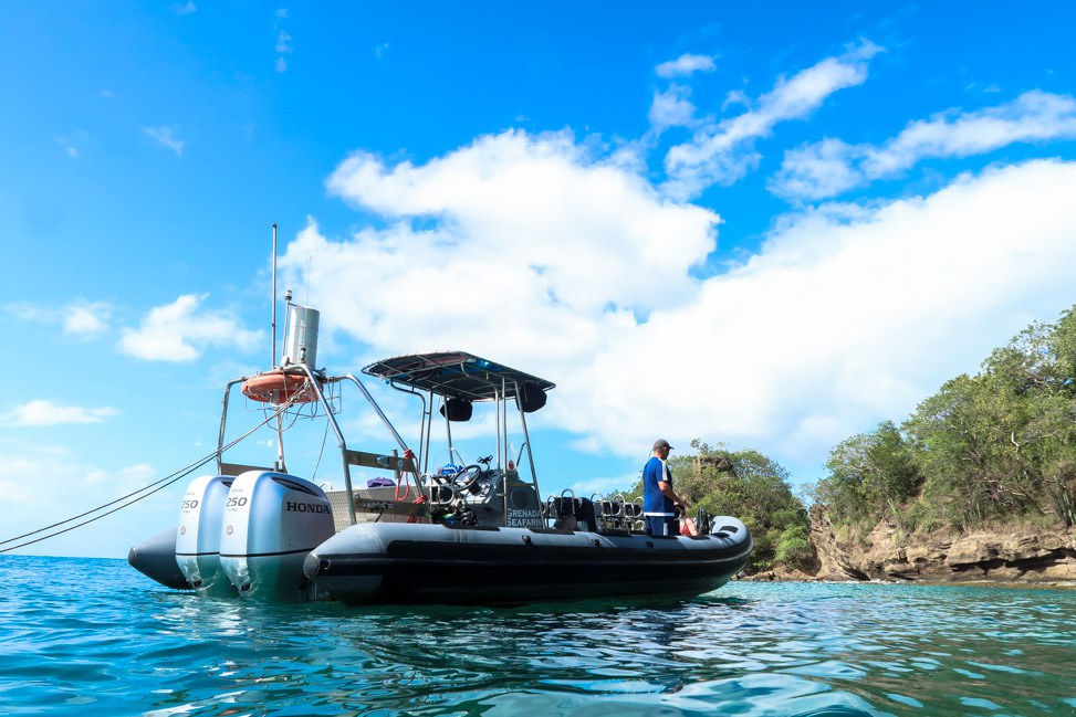 Underwater Grenada: Going Deep into the Marine Sculpture Park