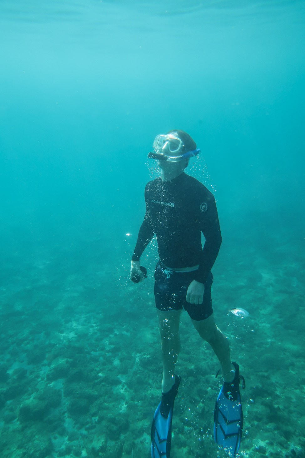 Underwater Grenada: Going Deep into the Marine Sculpture Park