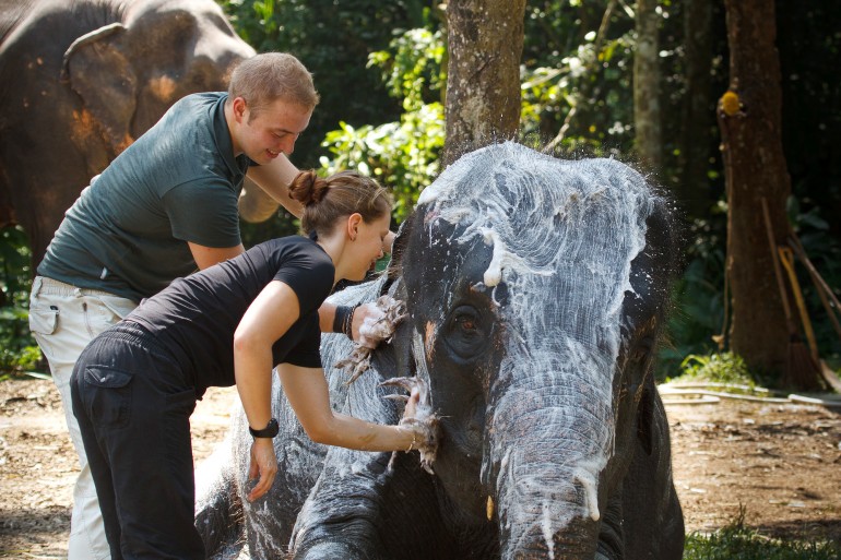 thailand-bathing-elephants.jpg