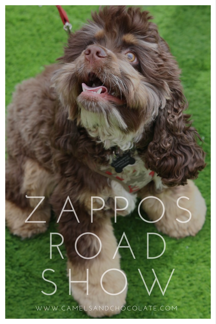 #ZapposRoadShow Travels the Country: Shop for Clothes, Eat Good Food, Adopt a Dog — why wouldn't you come out?