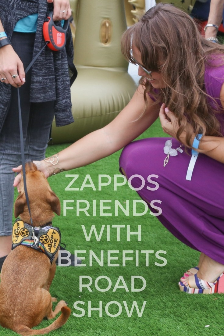 #ZapposRoadShow Travels the Country: Shop for Clothes, Eat Good Food, Adopt a Dog — why wouldn't you come out?