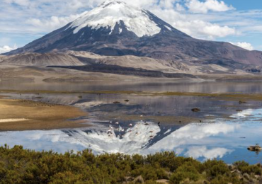 Снимок экрана 2021-01-05 в 1.58.21 PM